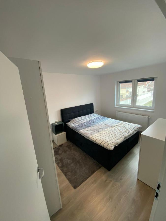 Apartament „Viena” - 2 Camere Şelimbăr Екстериор снимка